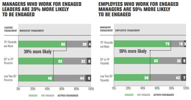 Gallup Organization Survey