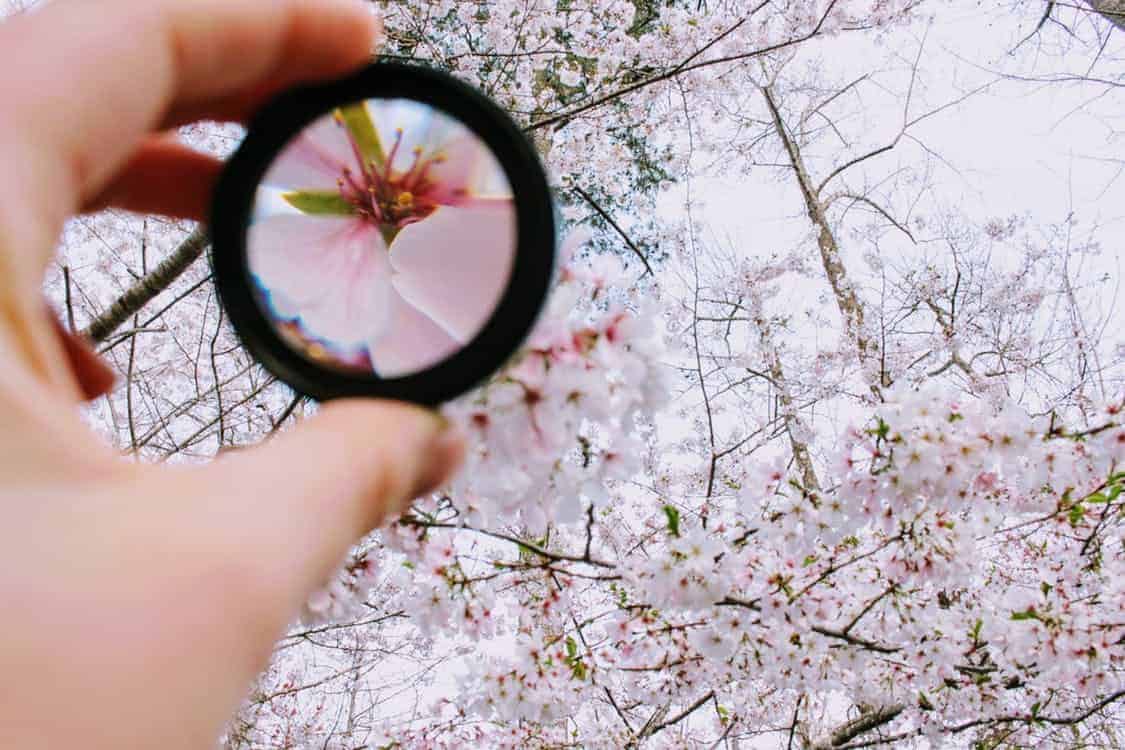 Leadership Lessons: Brian Wang on Developing Self-Awareness and How to Overcome Your Personal Weaknesses 3 How to Overcome Your Personal Weaknesses to be a great leader - focus on a few things