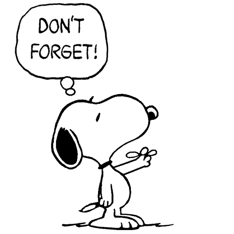 dont forget snoopy One on One Meeting Tips,effective one on one meetings