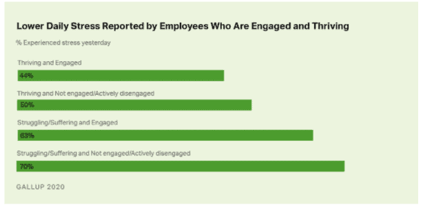 high employee turnover is likely to happen if your team is not thriving